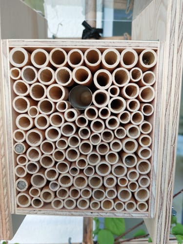 Customer photo review of Gutschein BeeHome Classic