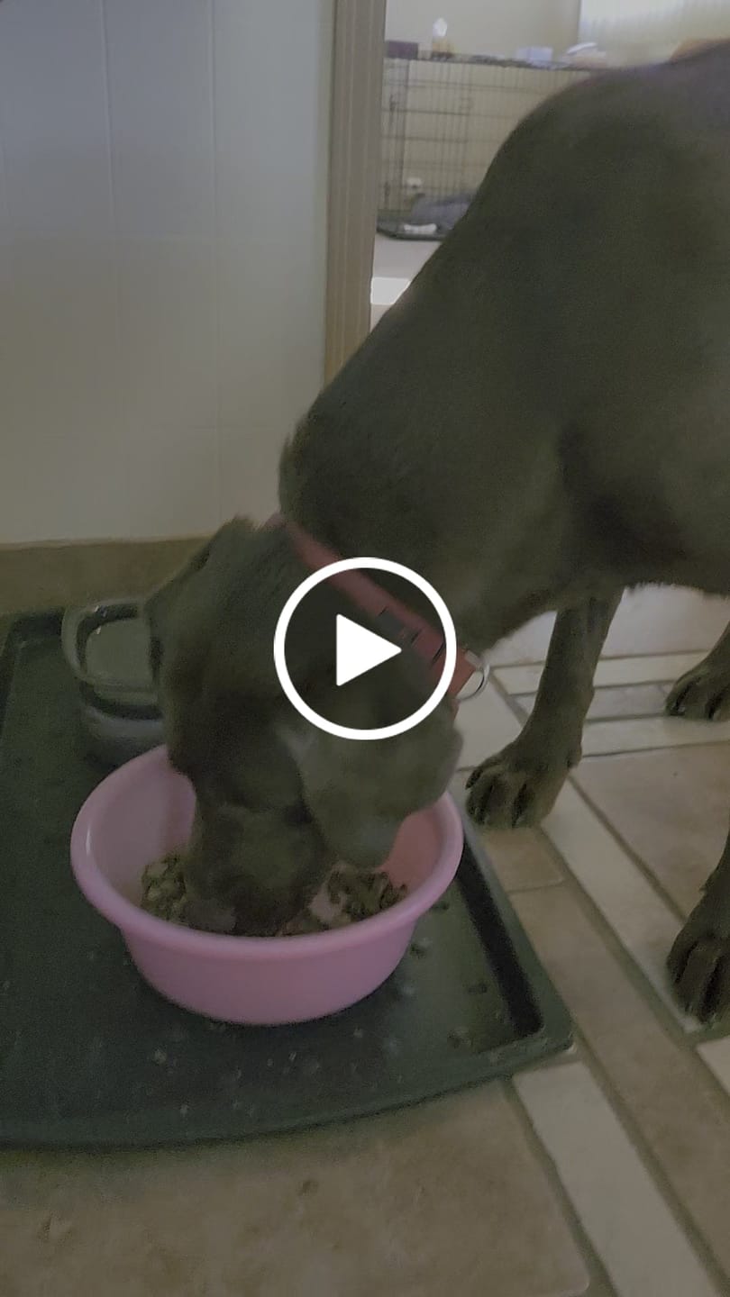 Customer video review of Dry food - Sustainable Fish