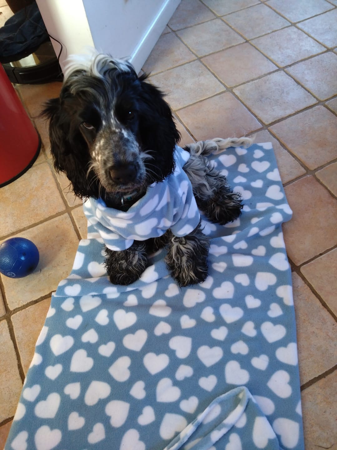 Customer photo review of All Over Hearts Anti Pill Polar Fleece Fabric