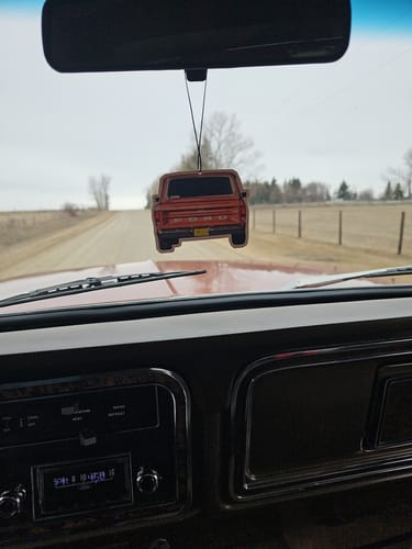 Customer photo review of Custom Car Air Freshener