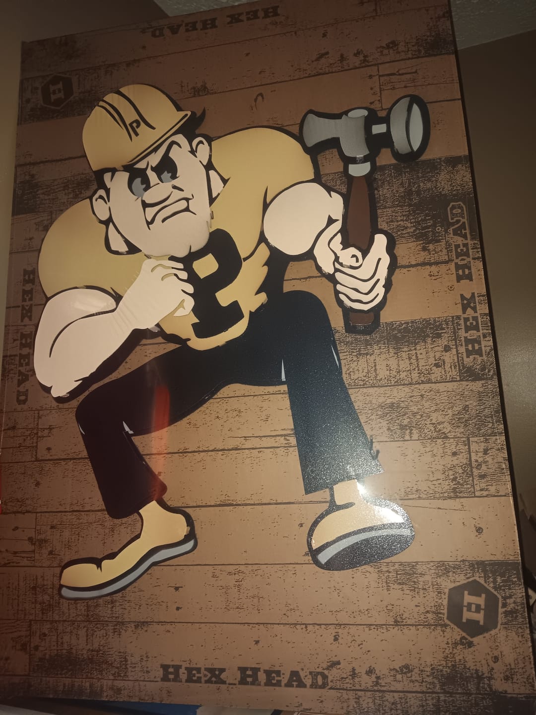 Customer photo review of Purdue "Pete" 3D Vintage Metal Wall Art