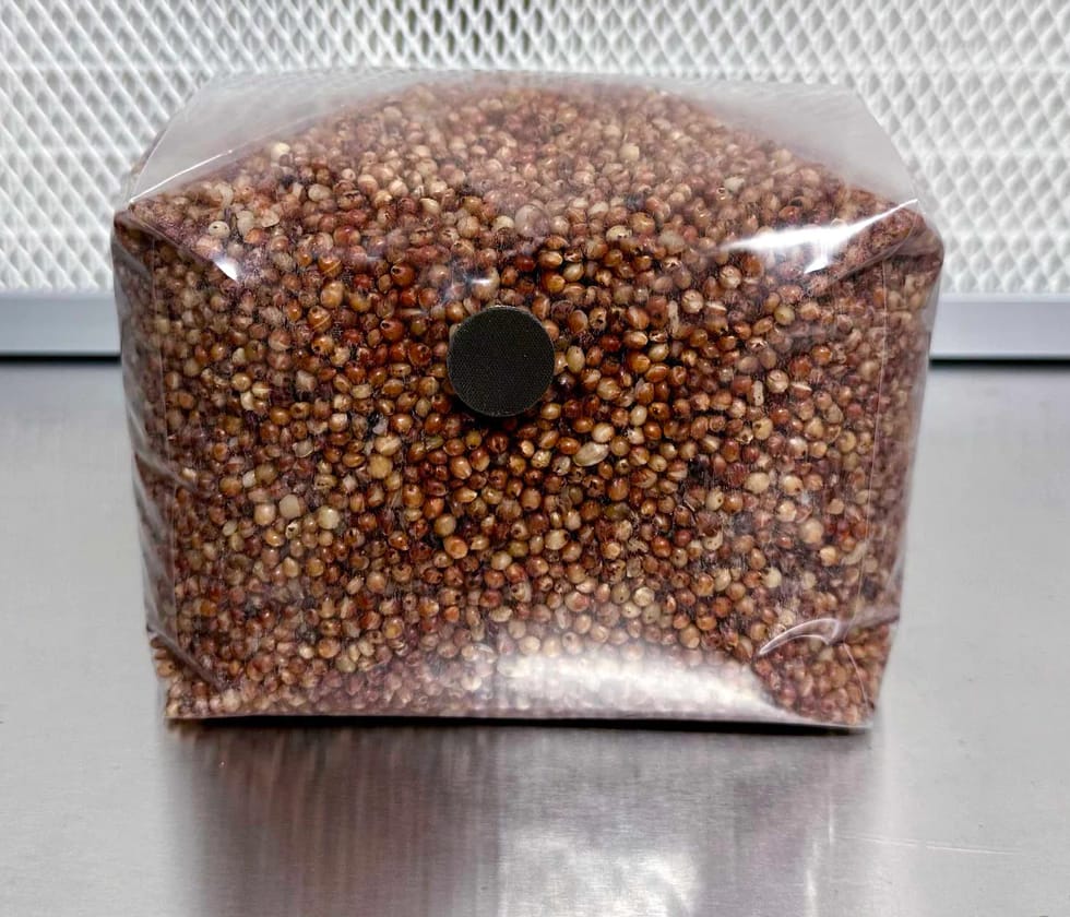 Customer photo review of Adherable Injection Ports For Plant & Mushroom Tissue Culture