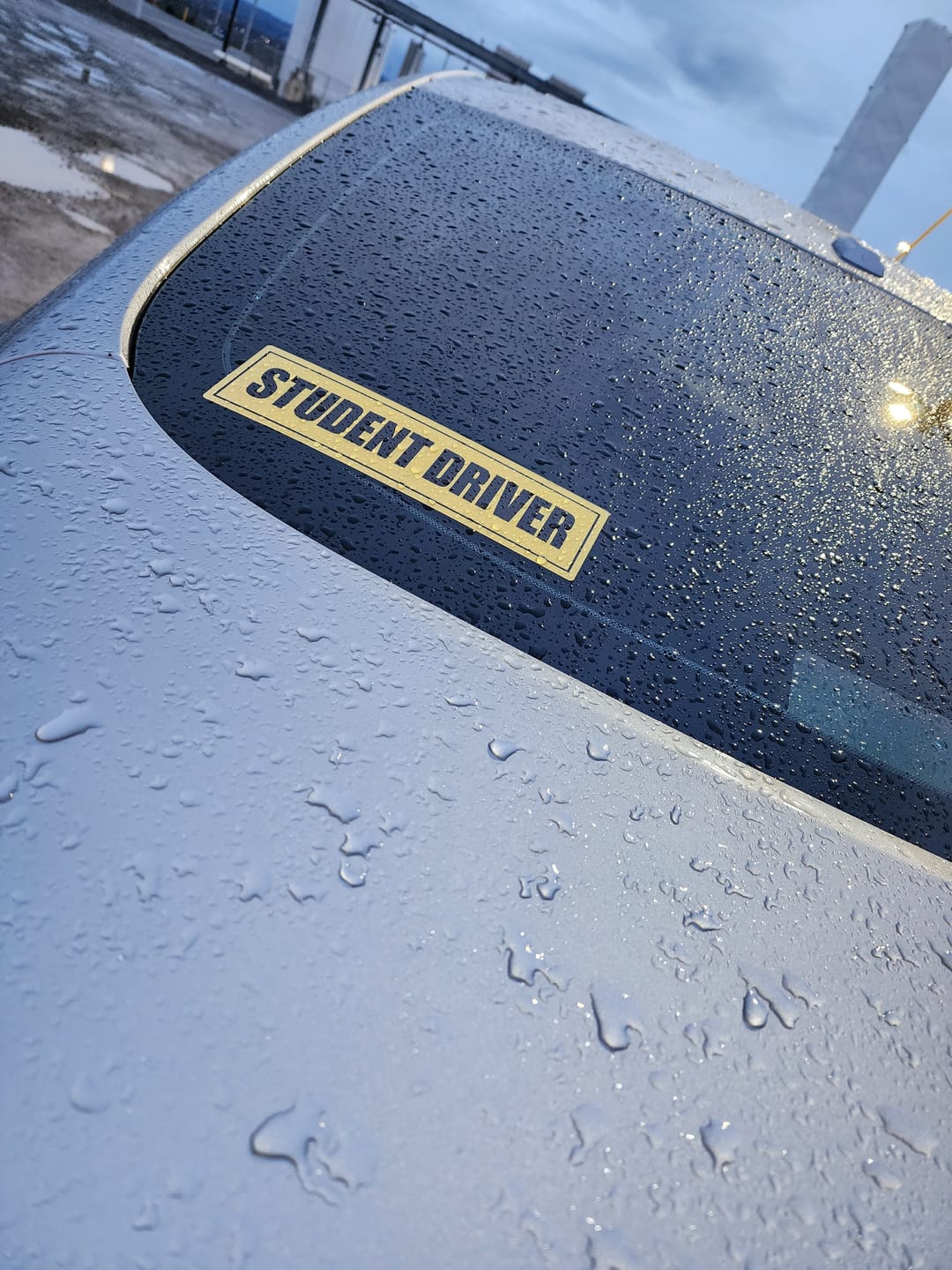 Customer photo review of Student Driver Sticker
