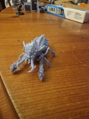 Customer photo review of Anycubic Photon Mono M5s Pro