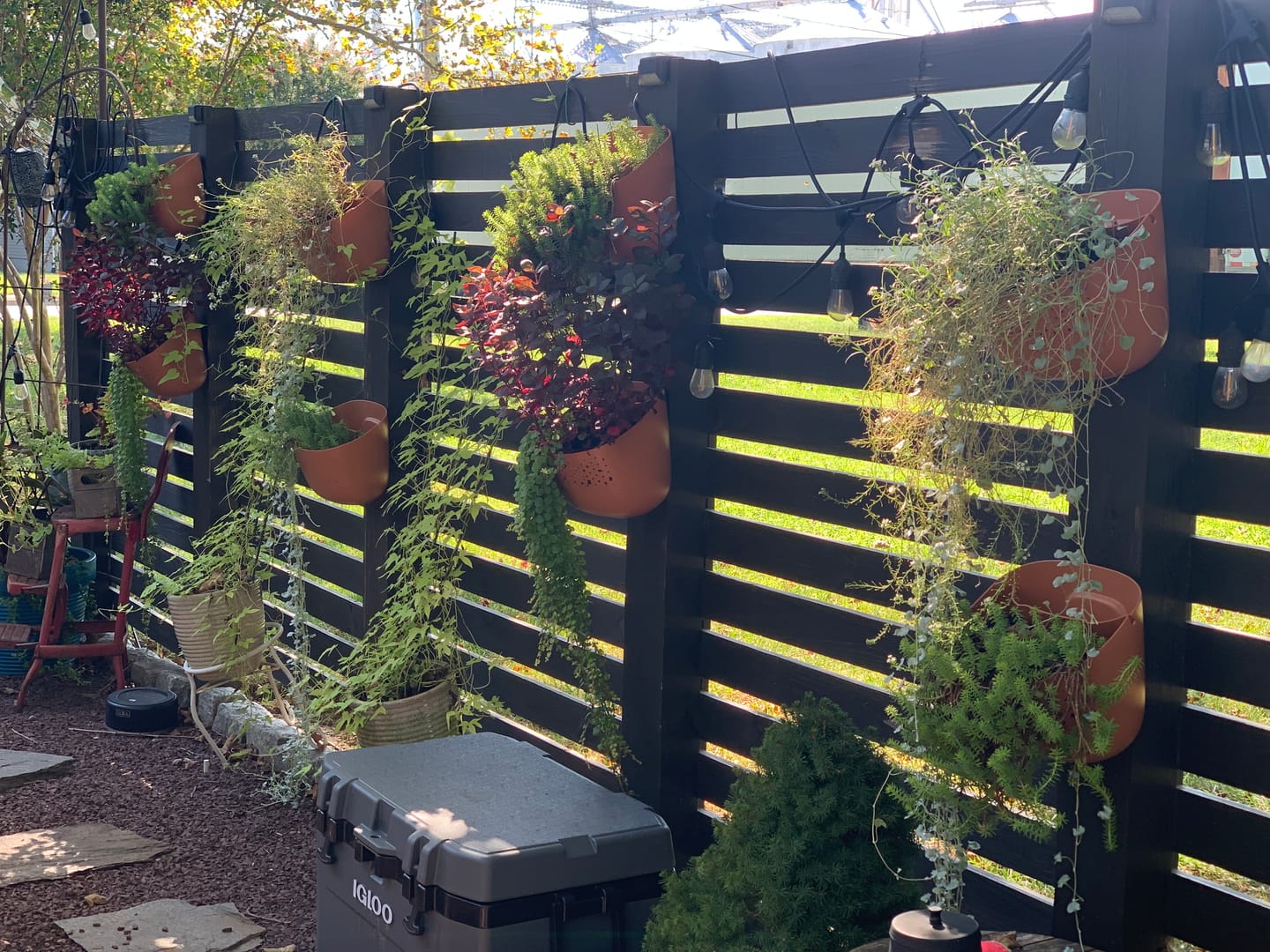 Customer photo review of Eco Terracotta Wall Planter
