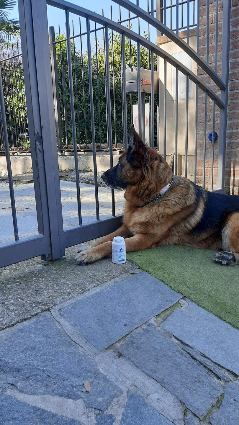 Customer photo review of ProtectionArtro+