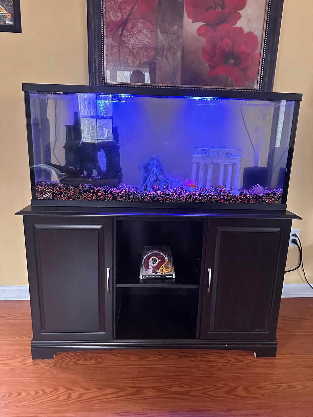 Customer photo review of FritzZyme 7 Freshwater Live Bacteria