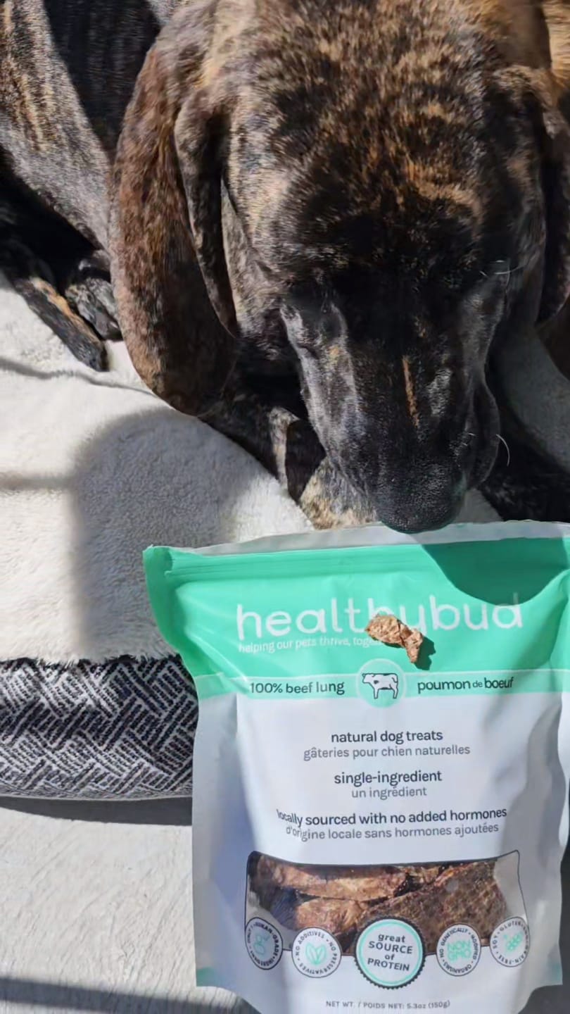 Customer photo review of Beef Lung Wafers