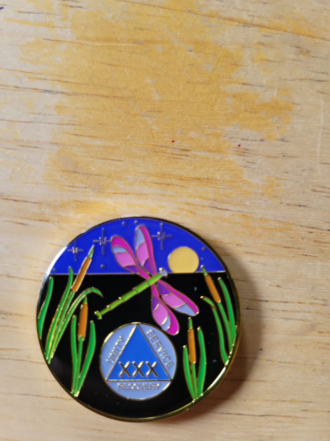 Customer photo review of 1 to 60 Year Dragonfly 9th Step Specialty AA Recovery Medallion - Tri-Plated Chip/Coin