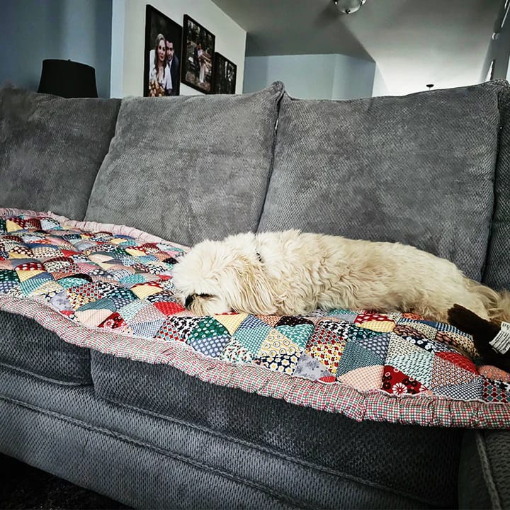 Customer photo review of Rainbow Sofa Cover