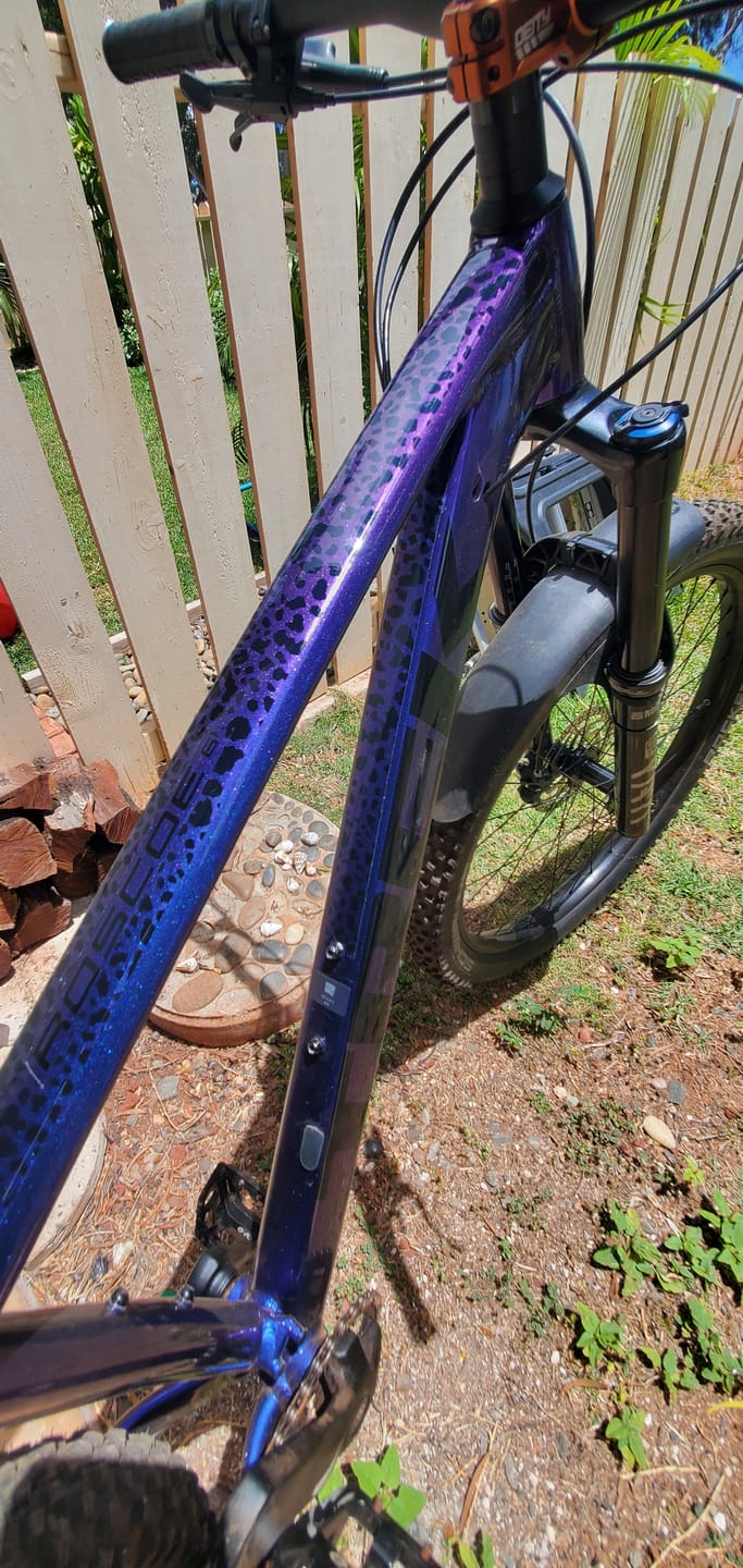 Customer photo review of Cheetah Frame Keeper