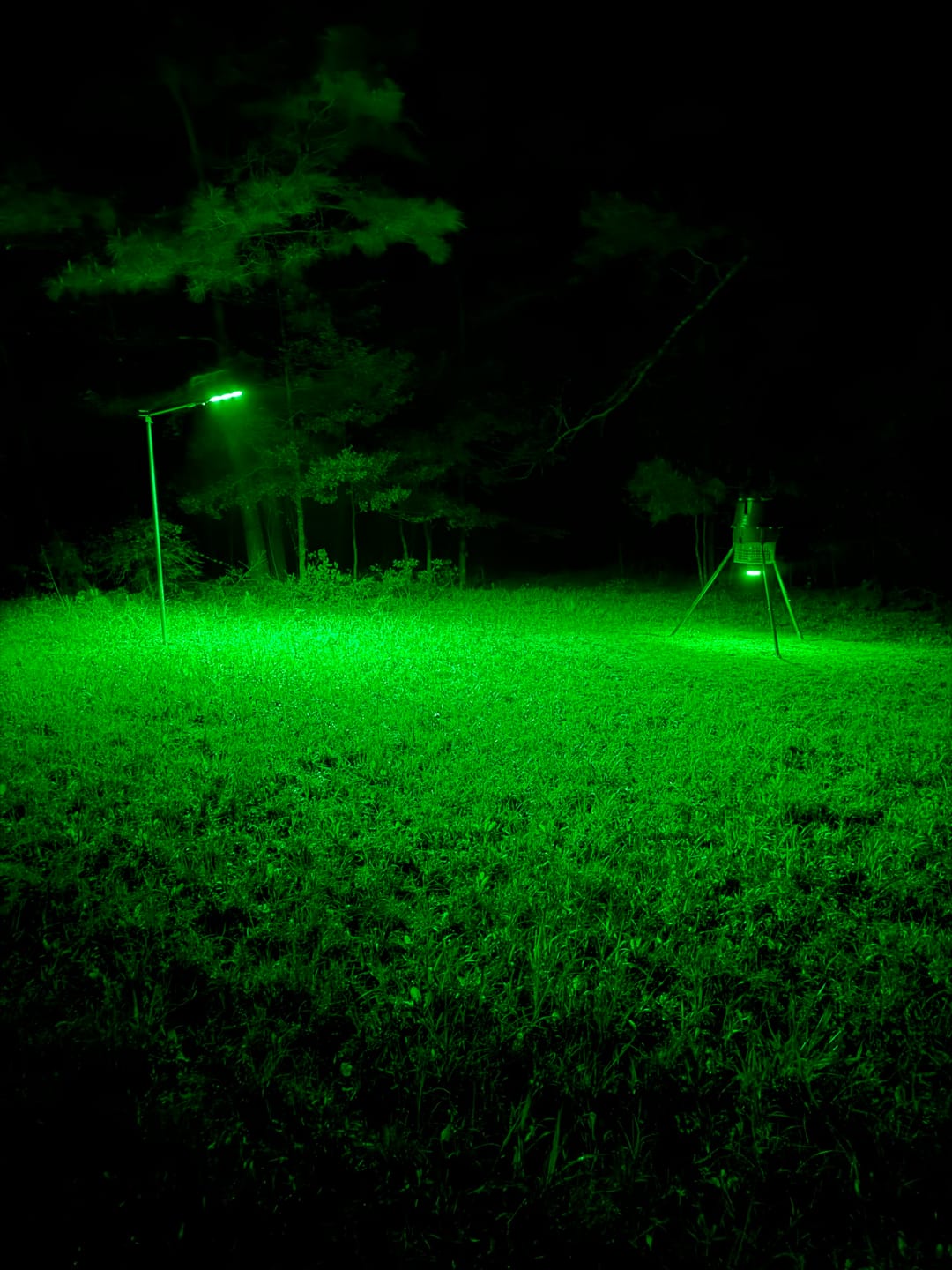 Customer photo review of Solar Green Light for Hunting Hogs Deer,Fish light -15,000lumens