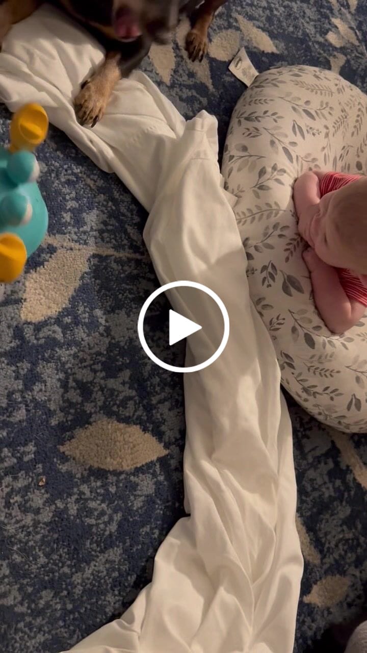 Customer video review of The Crawly Crab™