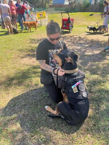 Customer photo review of 2MBH Harness Exchanges