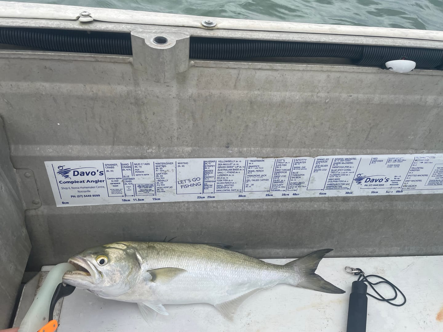 Customer photo review of DEATH TAIL