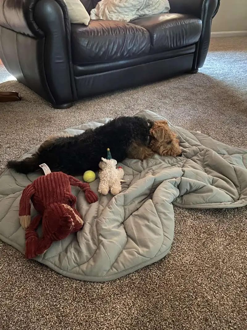 Customer photo review of Leaf Shape Mat