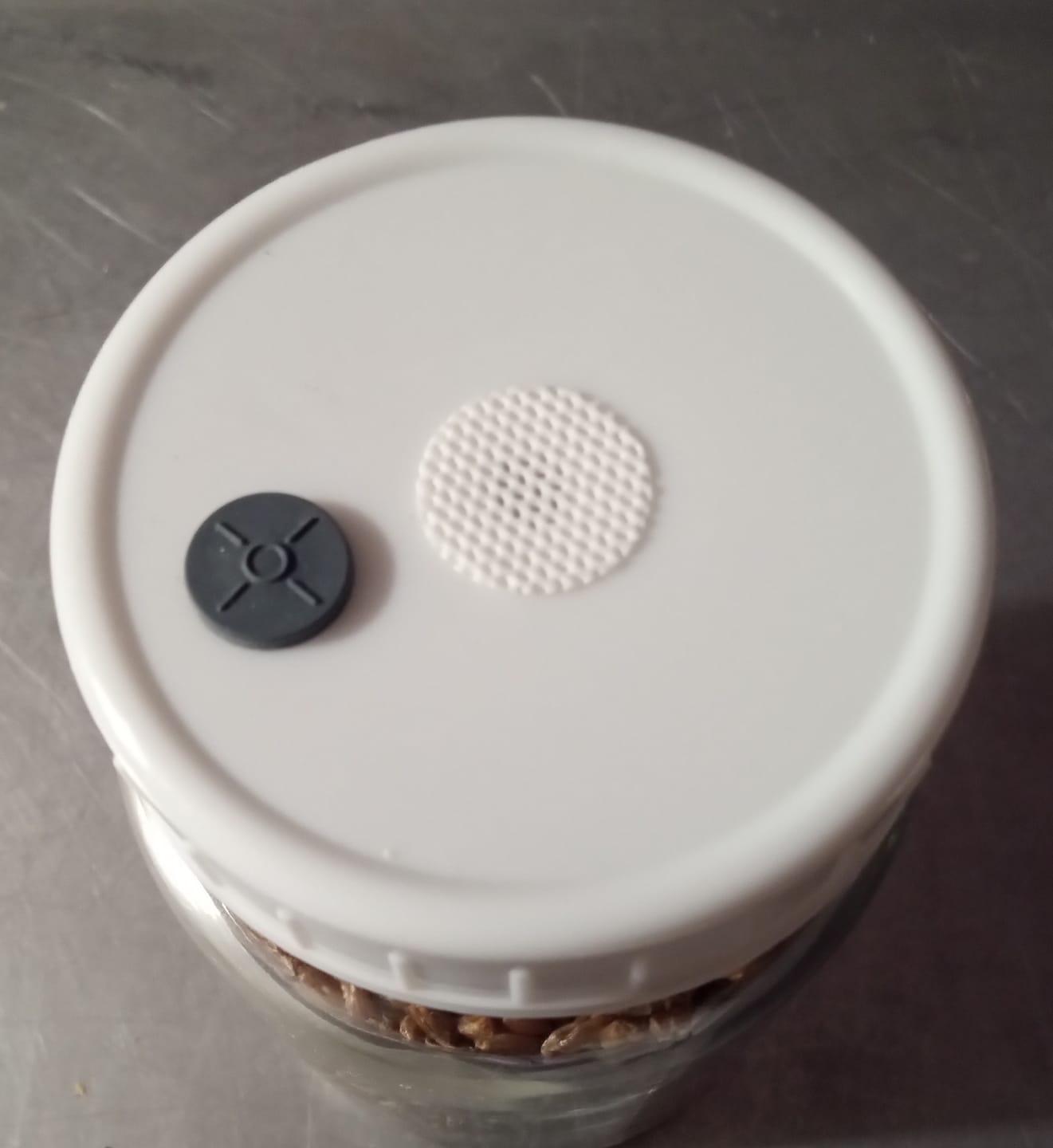 Customer photo review of Adherable Lid Filters For Plant & Mushroom Tissue Culture