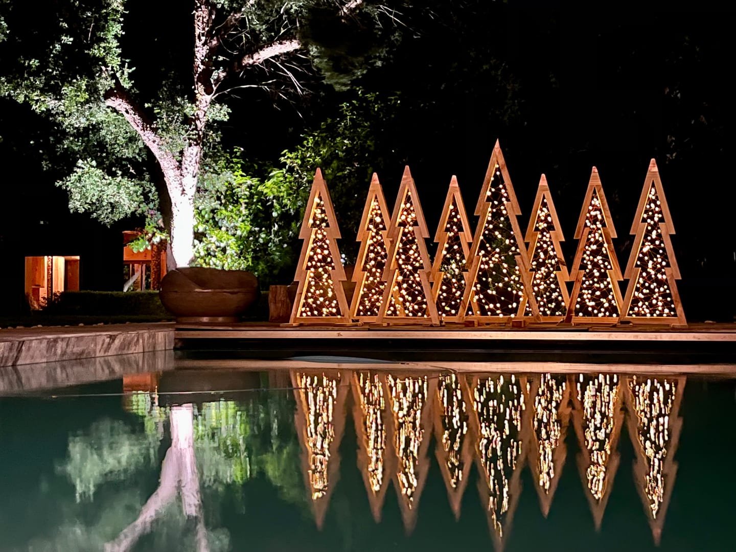 Customer photo review of Litehouse Solar LED Copper Wire Fairy Lights Warm White