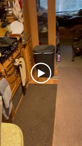 Customer video review of Beef Jerky Chews 4-5"