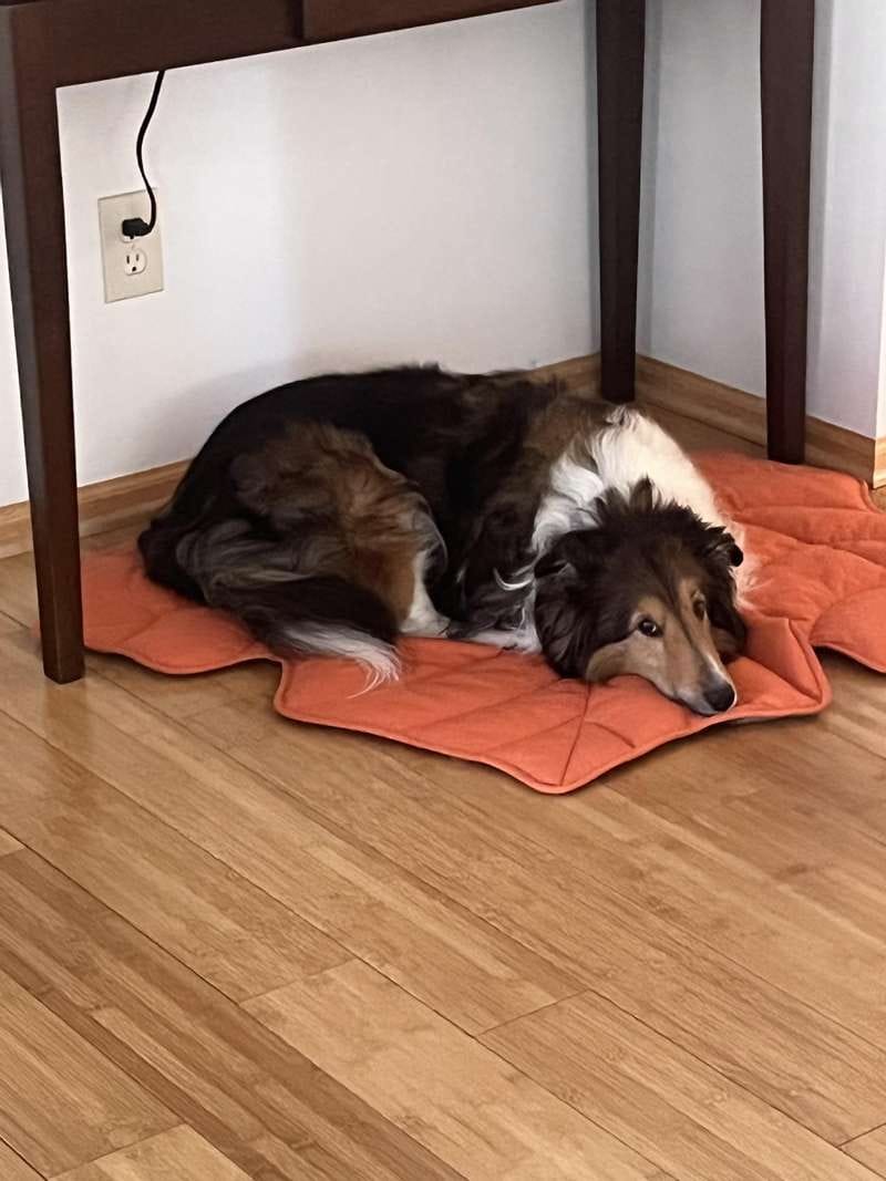 Customer photo review of Leaf Shape Mat