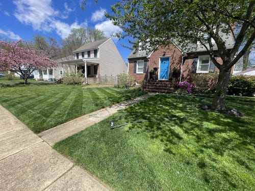 Customer photo review of 18-0-1 GreenePunch 1 Gallon (Build-a-Box)