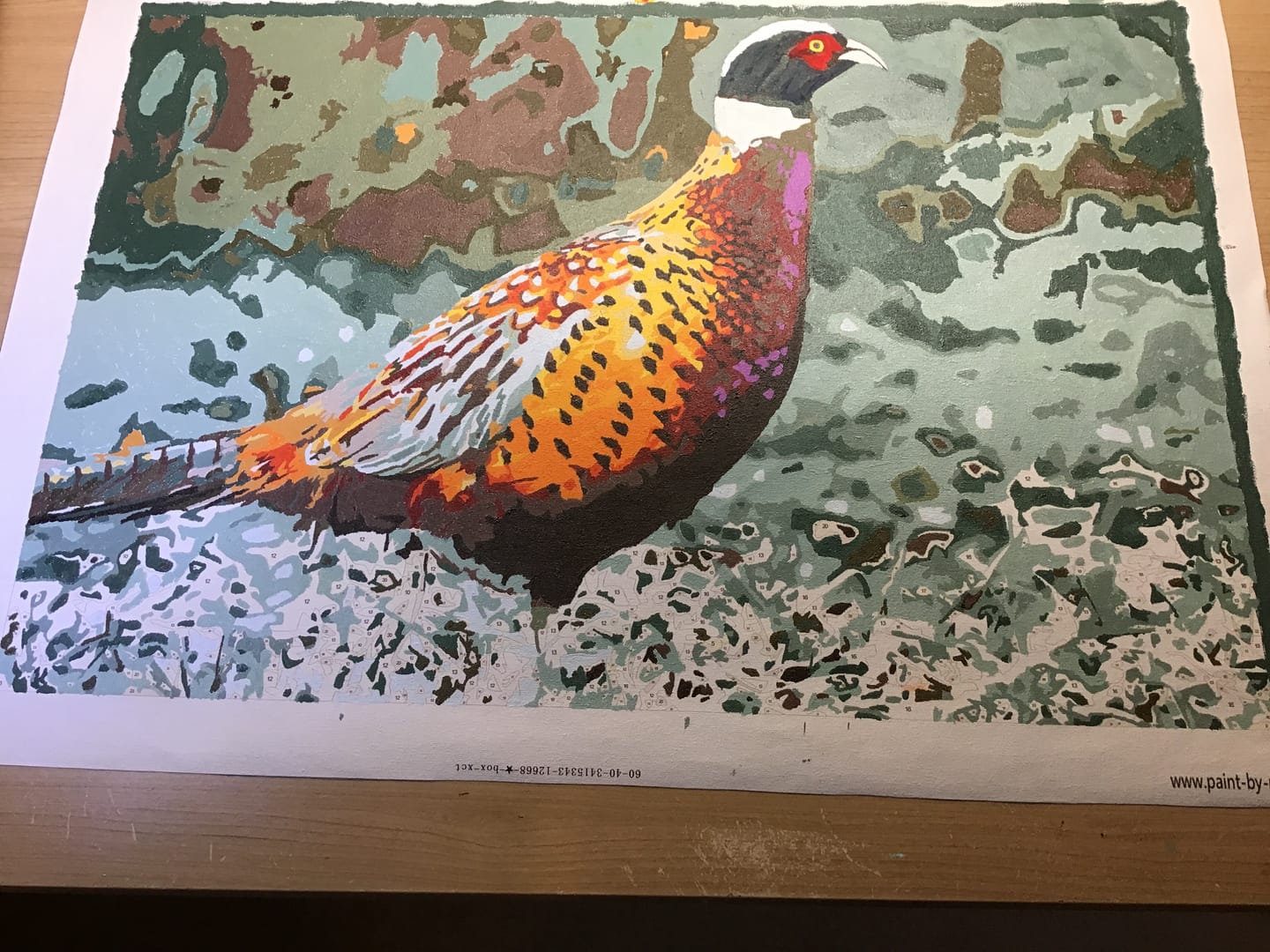 Customer photo review of Paint By Numbers | Pheasant - Bird On Grass