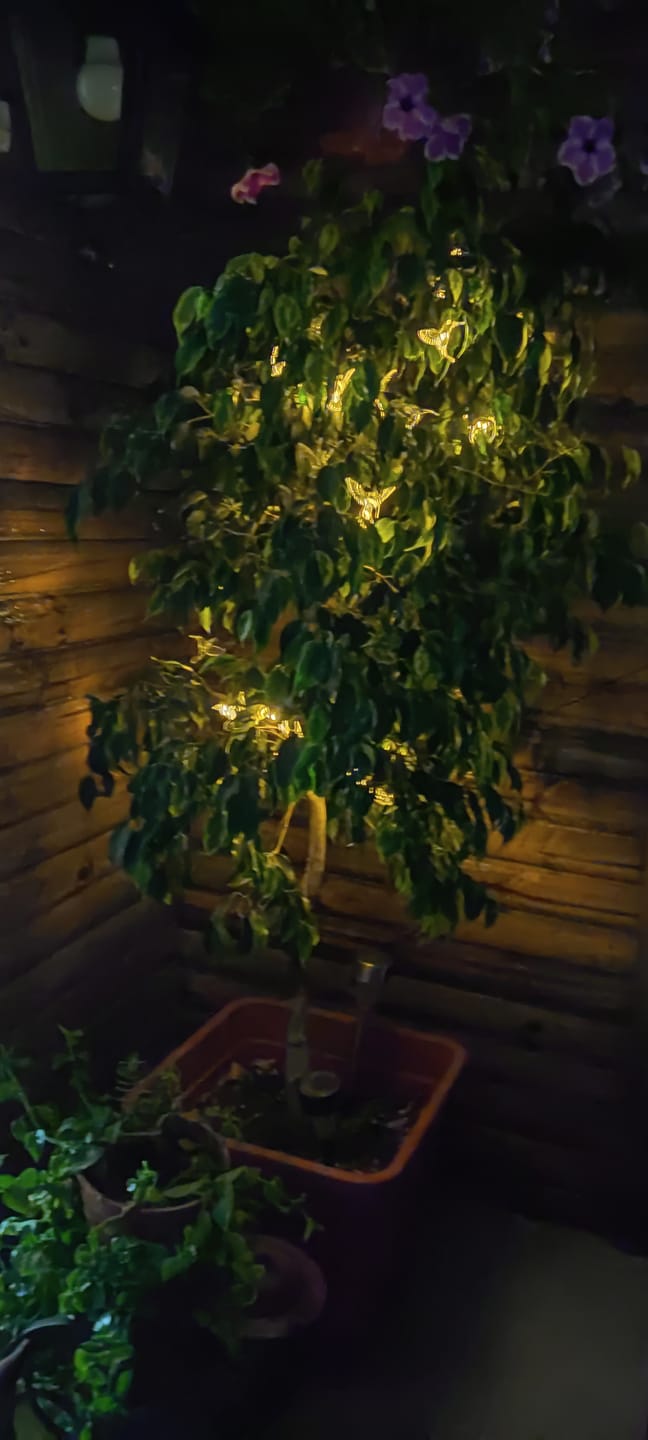 Customer photo review of Colibrís Solares - IP65 Luz Cálida/Colores Largo 3,7 m