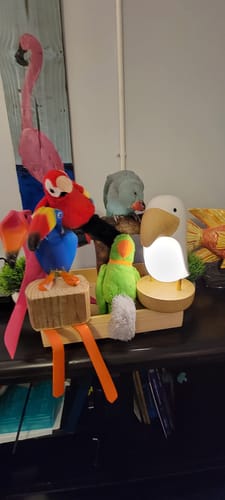 Customer photo review of Bird Night Light Wireless Speaker