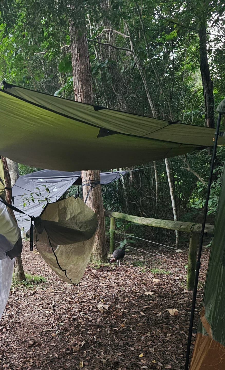 Customer photo review of 3m x 3m Lightweight Tarp