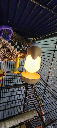 Customer photo review of Bird Night Light Wireless Speaker