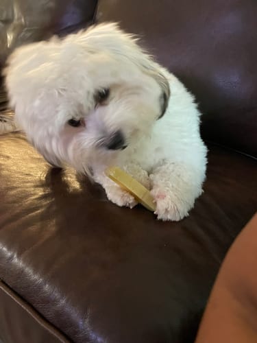 Customer photo review of MIX FLAVORED CHEWS ( A PACK OF 4 STICKS )