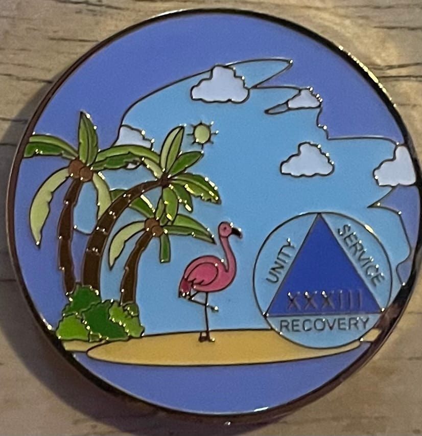 Customer photo review of 1 to 60 Year Beach Themed Specialty AA Recovery Medallion - Tri-Plated Chip/Coin
