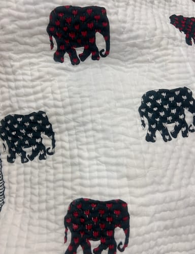 Customer photo review of Organic Mulmul Cotton Quilt | Haathi