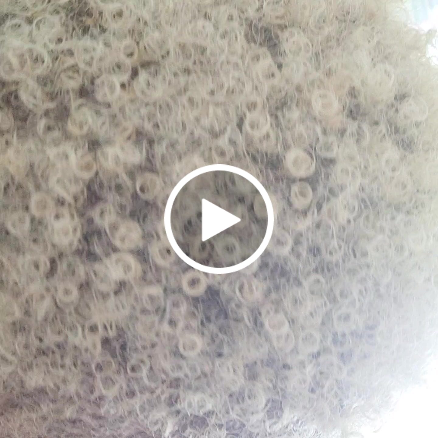 Customer video review of Wash and Go Bundle