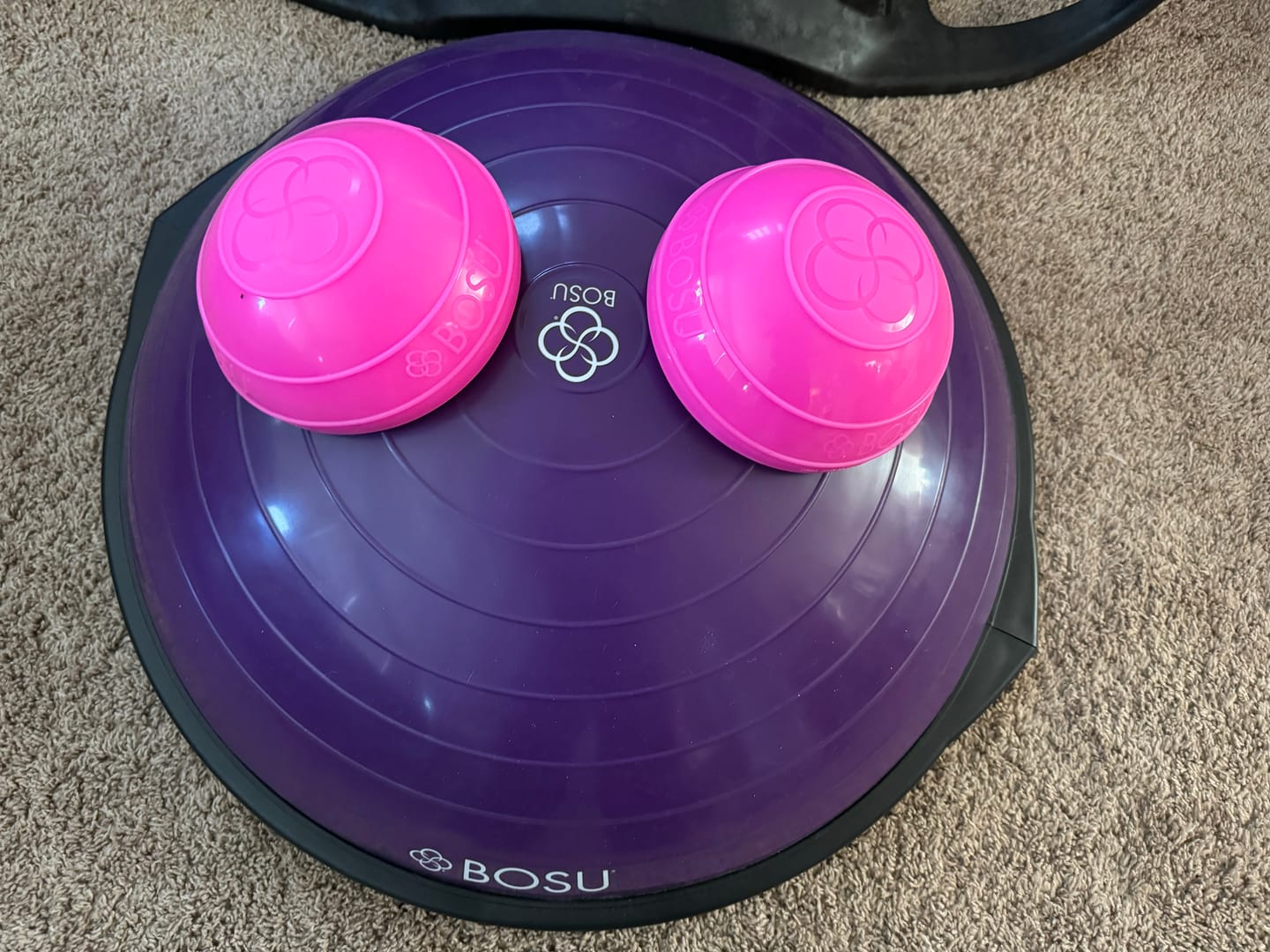Customer photo review of BOSU® Balance Pods