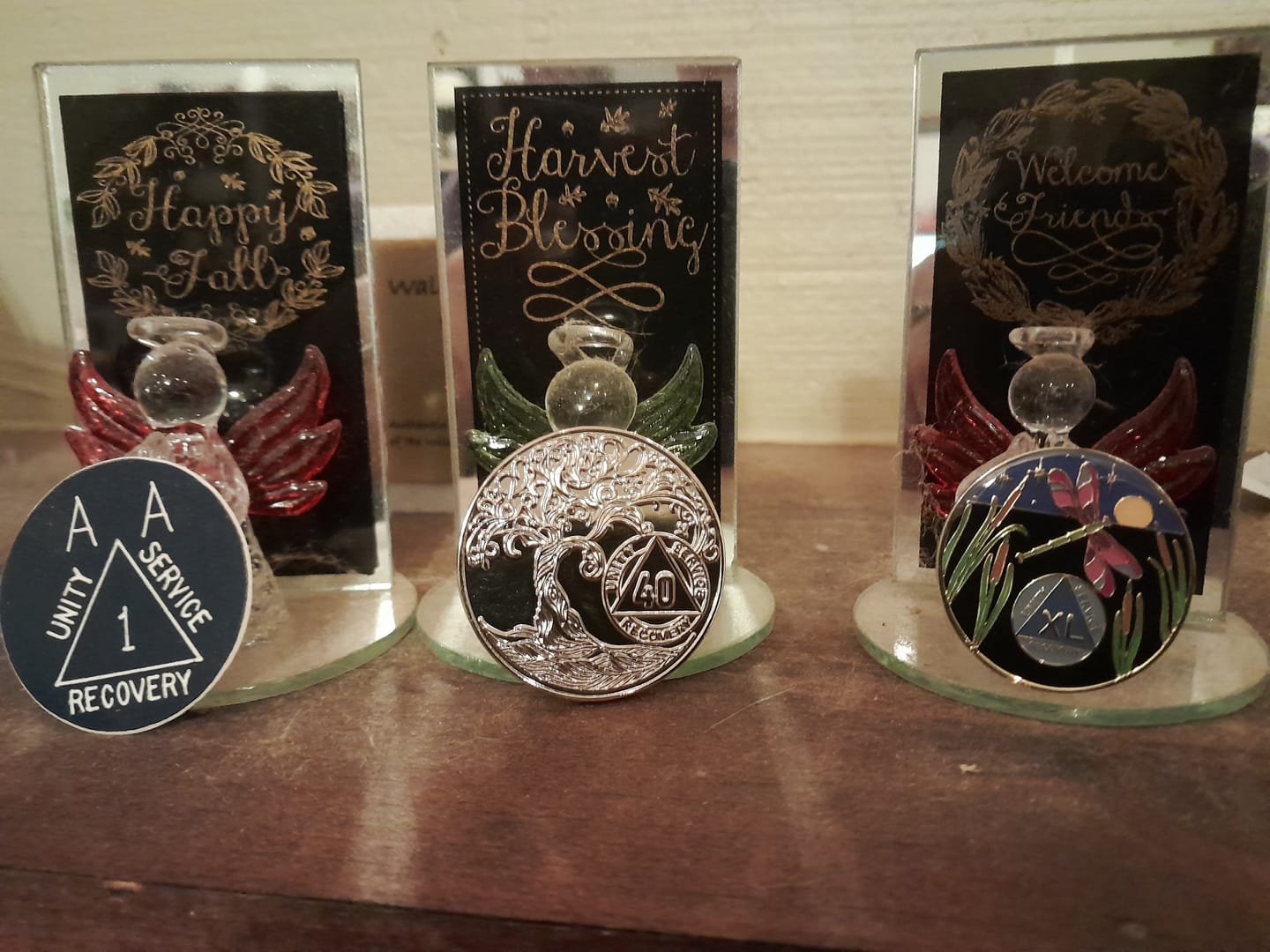 Customer photo review of 1 to 60 Year Dragonfly 9th Step Specialty AA Recovery Medallion - Tri-Plated Chip/Coin