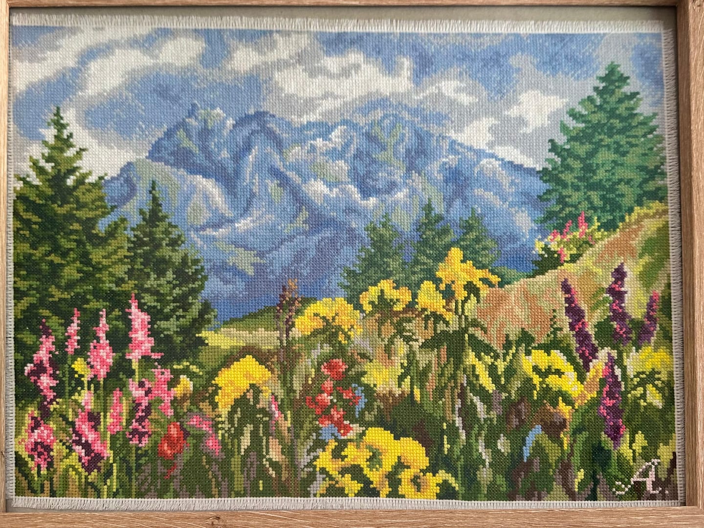 Customer photo review of Distant mountain