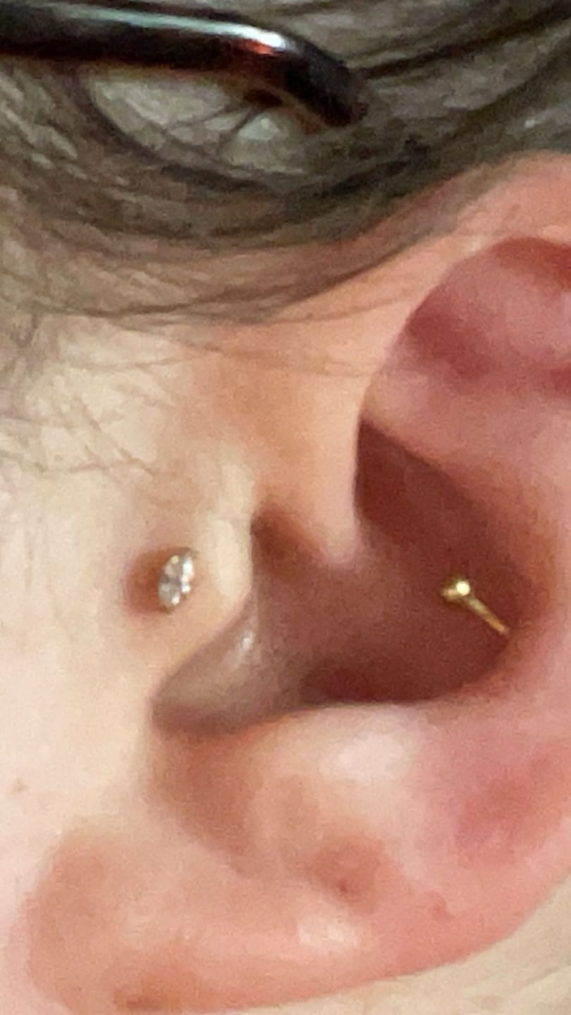 Customer photo review of Single Stone Piercing | Titan