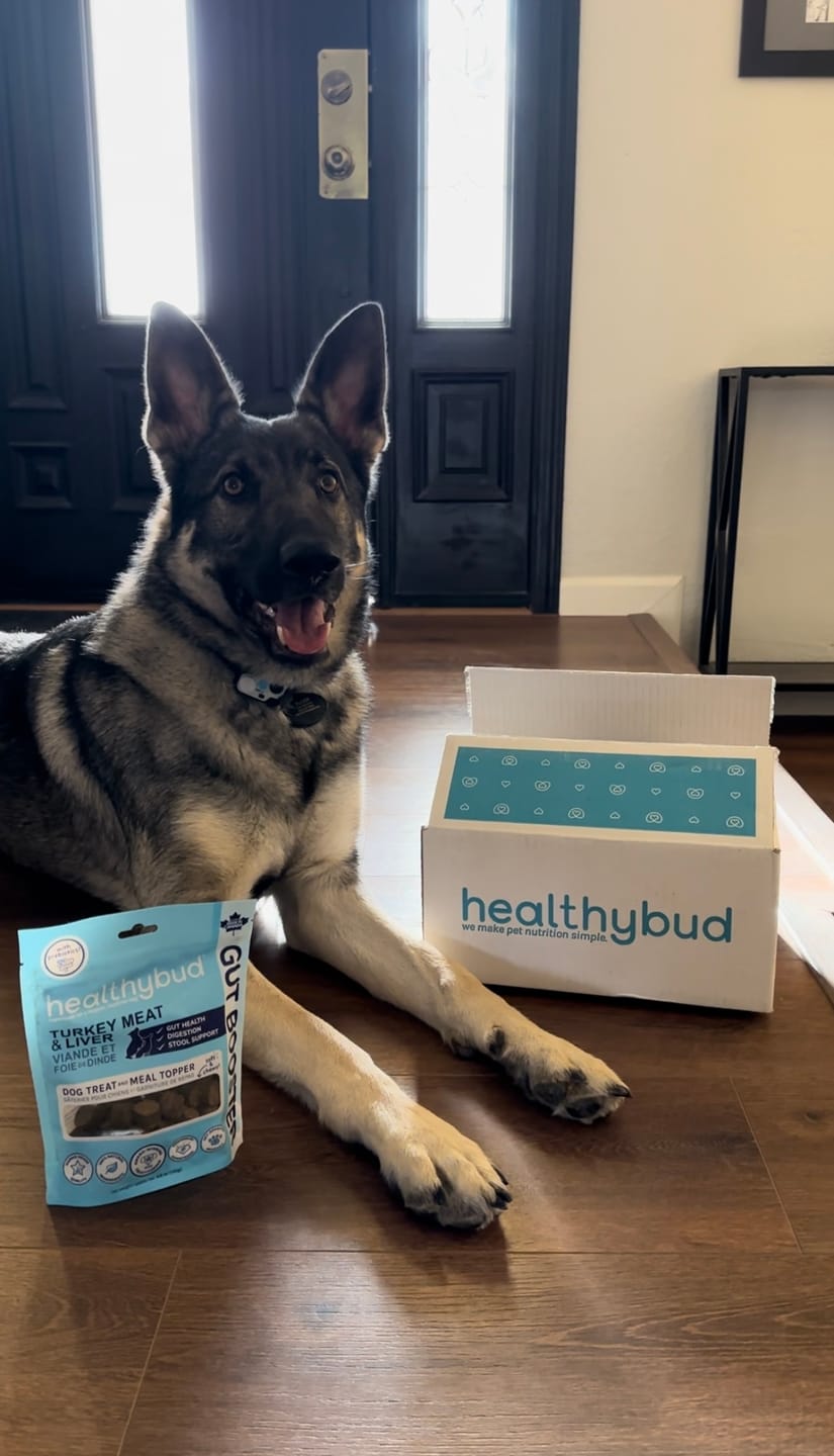Customer photo review of Turkey Gut Booster