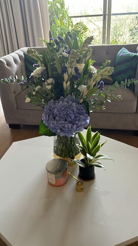 Customer photo review of Blue Gardenia