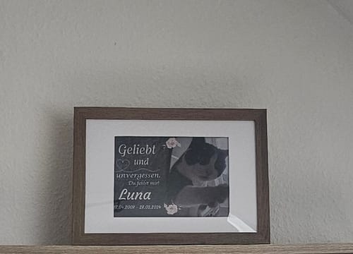 Customer photo review of Hunde Gedenktafel mit Foto & Spruch (UV- & Wetterfest)