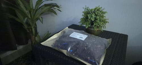 Customer photo review of Rosa Jamaica / Hibisco