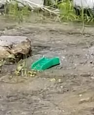 Customer photo review of Mini Pocket Sluice