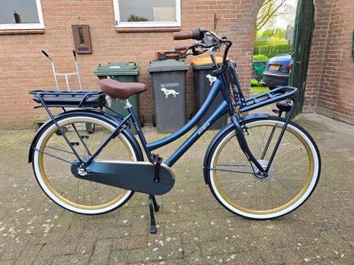 Customer photo review of E-Cargo N3