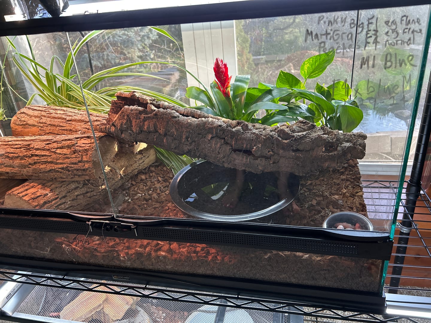 Customer photo review of Premium Cork Bark Tubes, Small