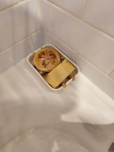 Customer photo review of Shea Oatmeal Honey Soap Bar