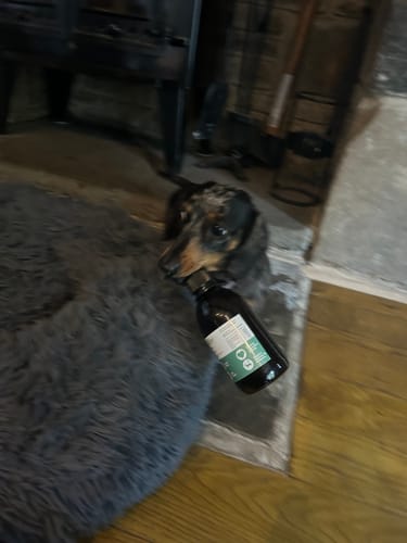 Customer photo review of Essential Calming Support Hemp Oil