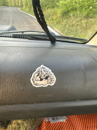 Customer photo review of Sticker Vinile Classico