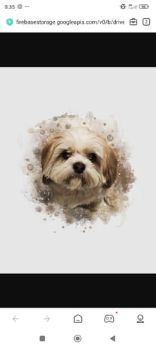 Customer photo review of Foto de tu mascota en estilo acuarela | Regalo para cachorros, perros y gatos