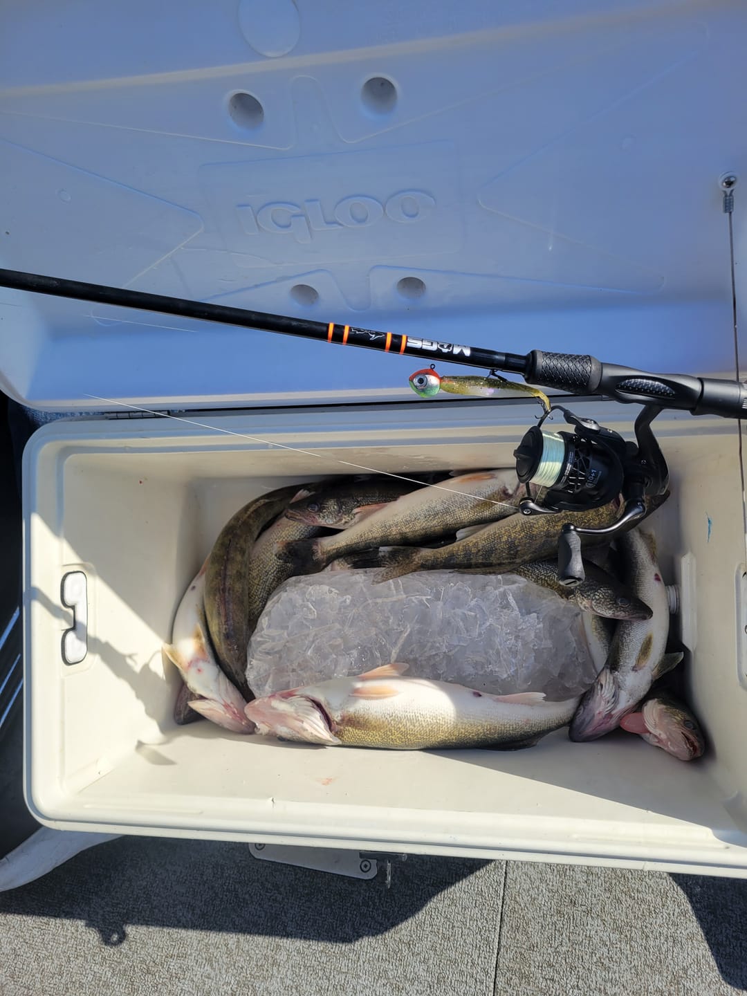 Customer photo review of Spinning Pre-Built Rod